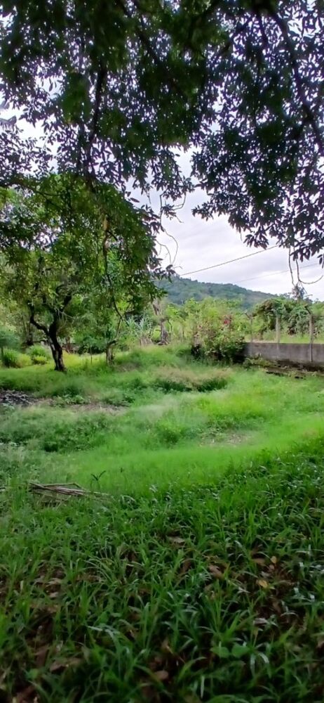 Sítio, 3 quartos, 1 hectares - Foto 8