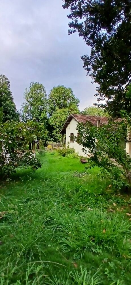 Sítio, 3 quartos, 1 hectares - Foto 15