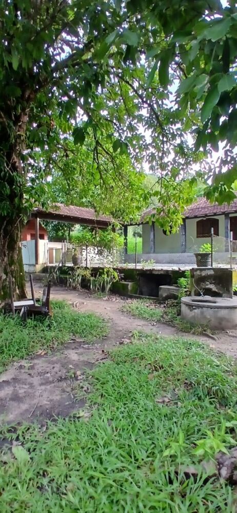 Sítio, 3 quartos, 1 hectares - Foto 7