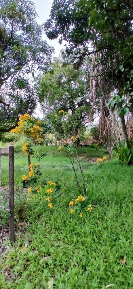 Sítio, 3 quartos, 1 hectares - Foto 6