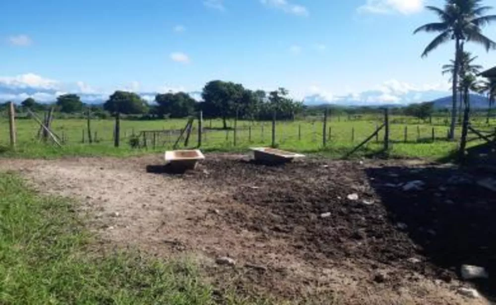 Fazenda, 10 hectares - Foto 6