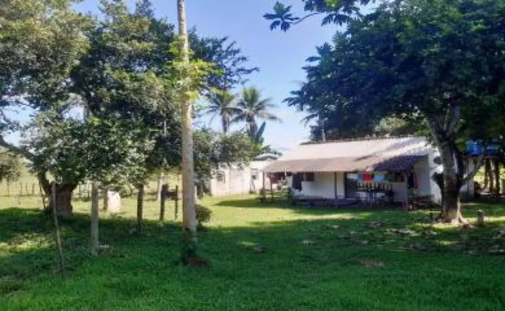 Fazenda, 10 hectares - Foto 4