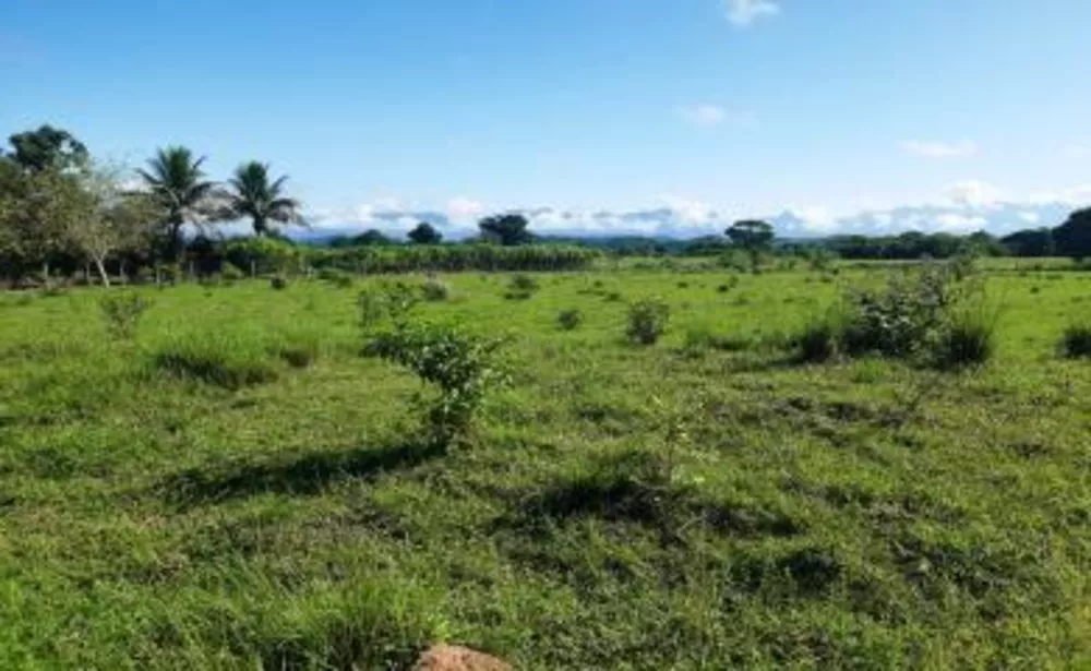Fazenda, 10 hectares - Foto 7