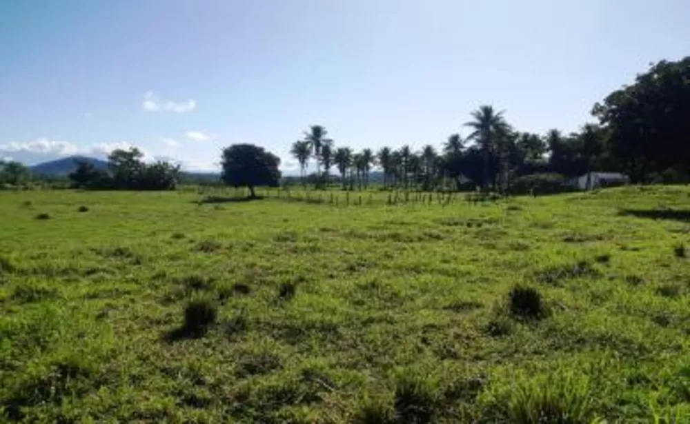Fazenda, 10 hectares - Foto 1