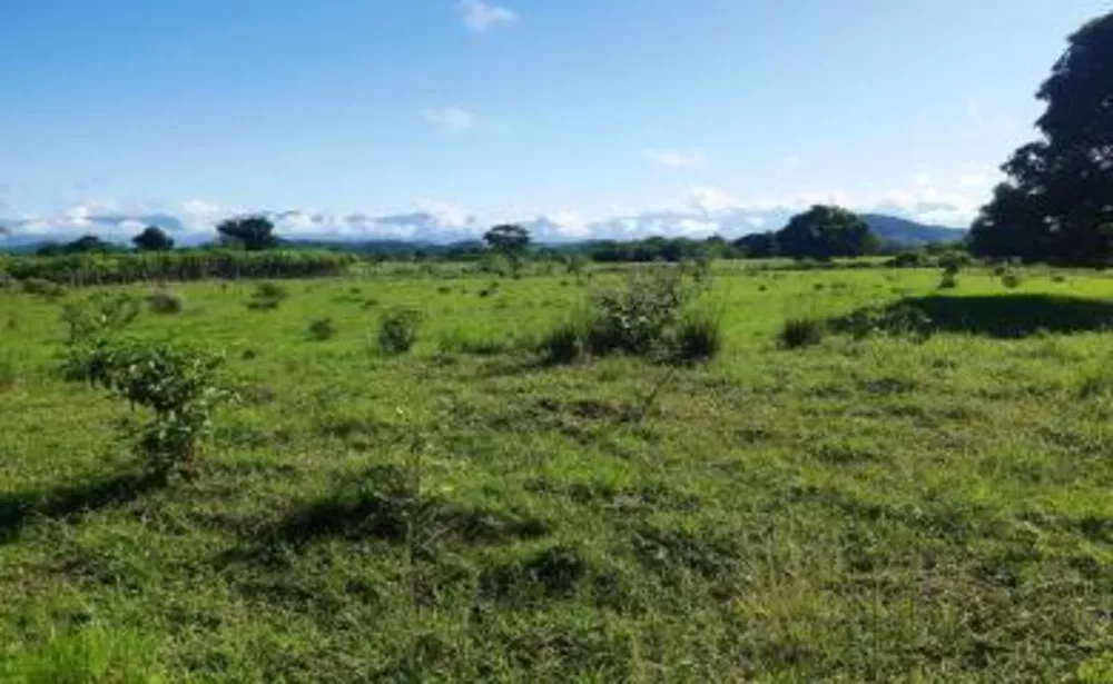 Fazenda, 10 hectares - Foto 3