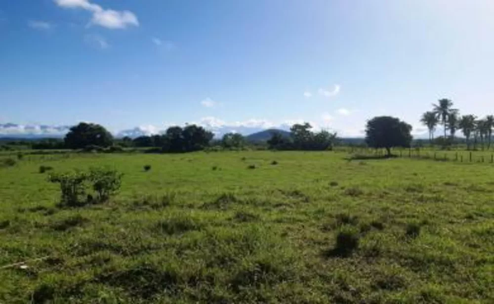 Fazenda, 10 hectares - Foto 2