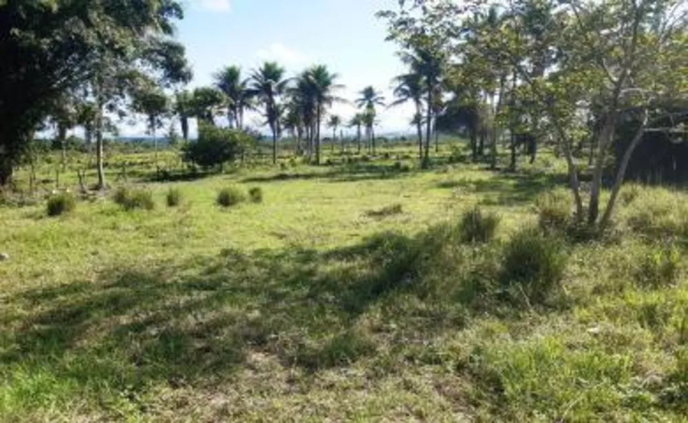 Fazenda, 10 hectares - Foto 8
