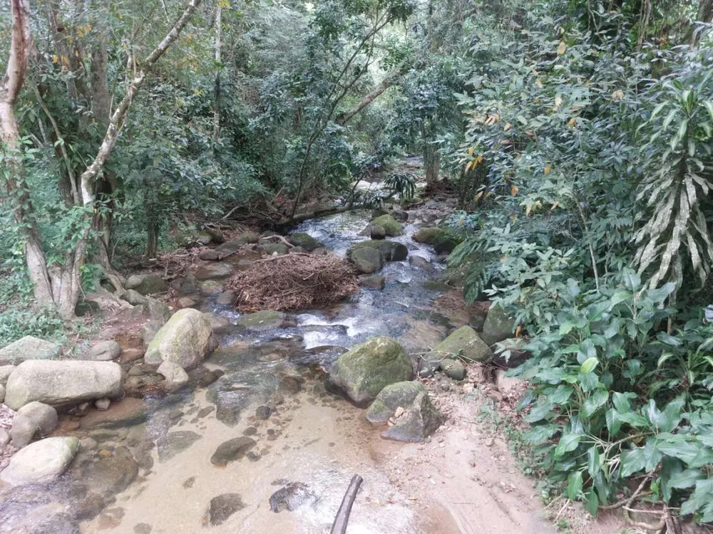Sítio, 6 quartos, 6 hectares - Foto 11