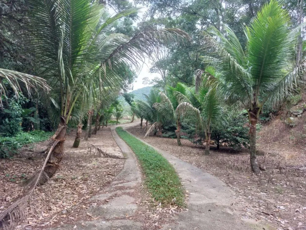 Sítio, 6 quartos, 6 hectares - Foto 17