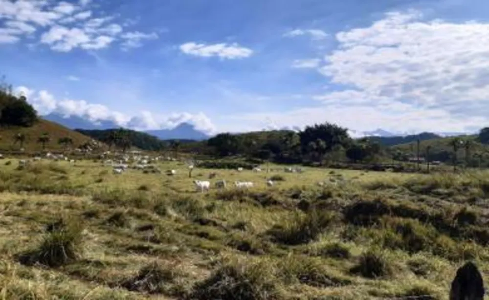 Fazenda, 53 m² - Foto 1