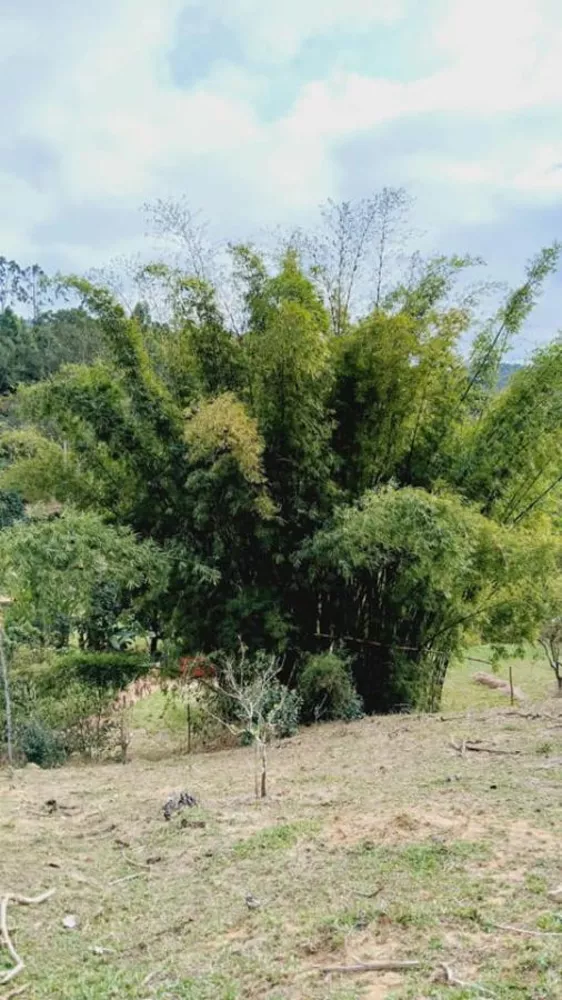 Sítio, 2 quartos, 5280 m² - Foto 10