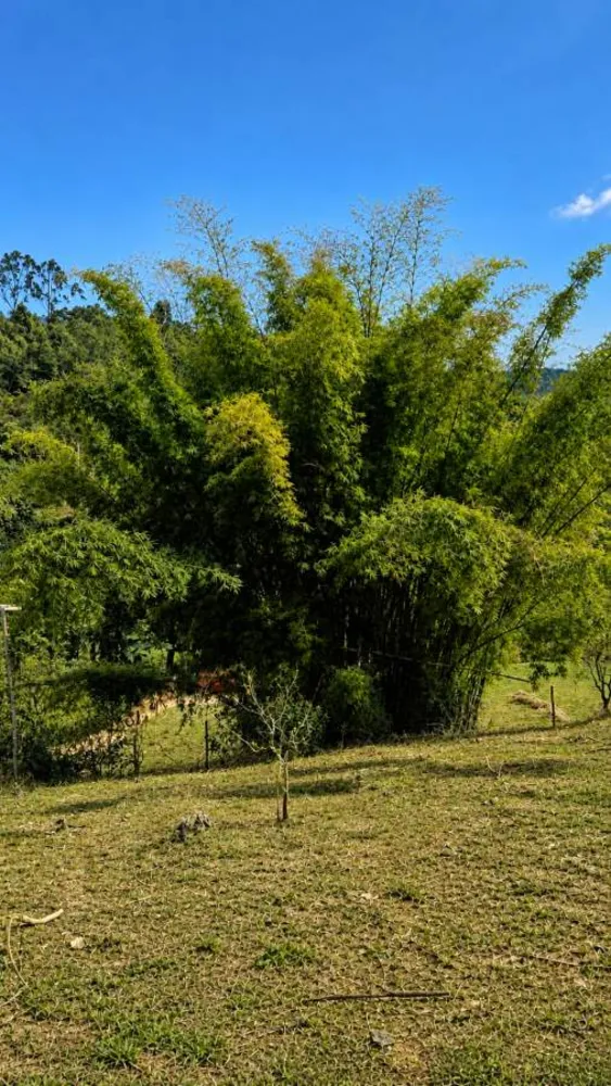 Sítio, 2 quartos, 5280 m² - Foto 24