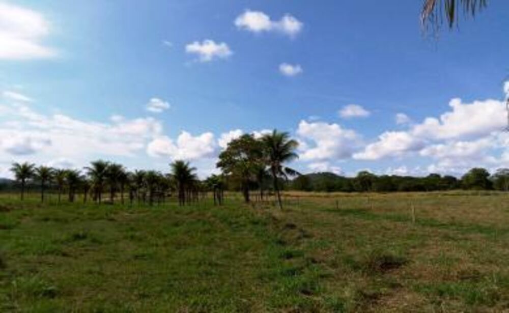 Sítio, 3 quartos, 10 hectares - Foto 4