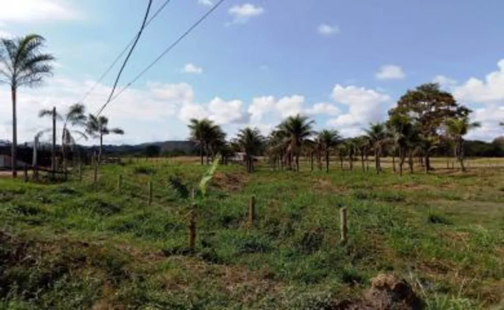 Sítio, 3 quartos, 10 hectares - Foto 20
