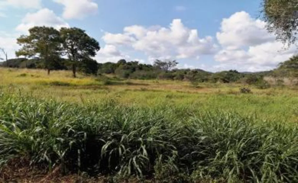 Sítio, 3 quartos, 10 hectares - Foto 16