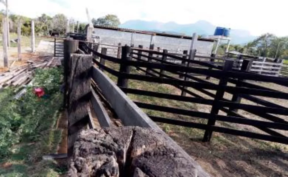 Sítio, 3 quartos, 10 hectares - Foto 24