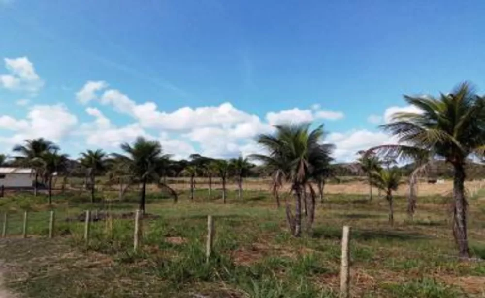 Sítio, 3 quartos, 10 hectares - Foto 26