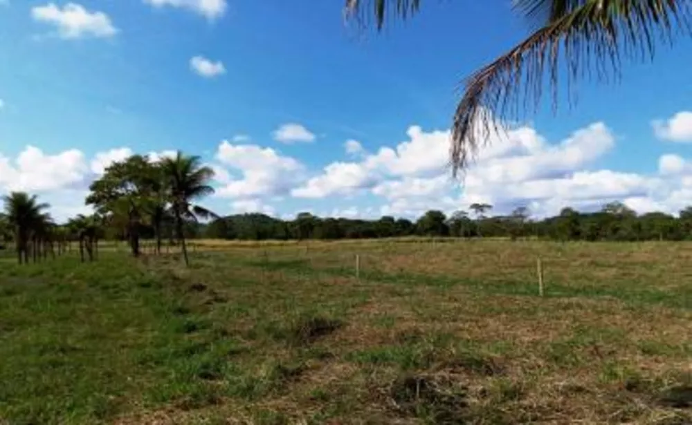 Sítio, 3 quartos, 10 hectares - Foto 19