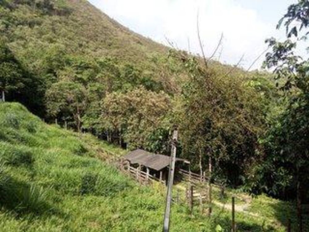 Sítio à venda com 1 quarto, 310000m² - Foto 8