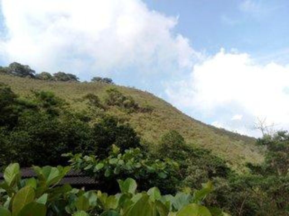 Sítio à venda com 1 quarto, 310000m² - Foto 7