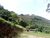 Sítio, 1 quarto, 31 hectares - Foto 9