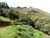 Sítio, 1 quarto, 31 hectares - Foto 1