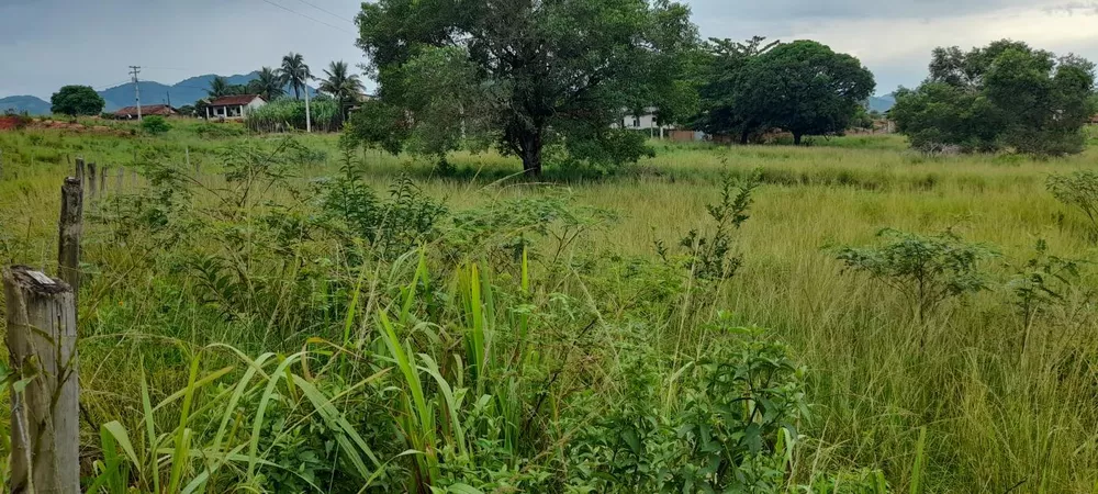 Terreno, 1 hectares - Foto 9