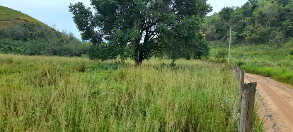 Terreno, 1 hectares - Foto 6