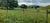 Terreno, 1 hectares - Foto 2