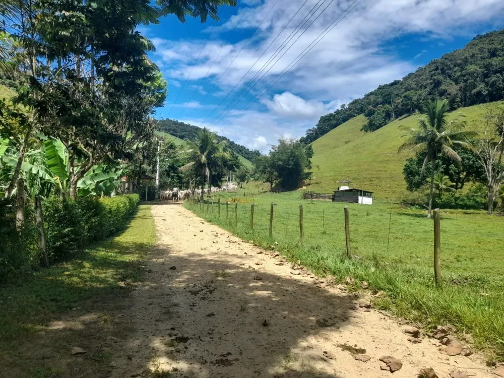 Fazenda à venda com 3 quartos - Foto 3