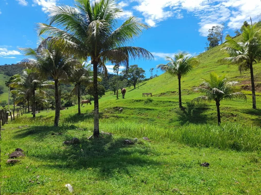 Fazenda à venda com 3 quartos - Foto 6