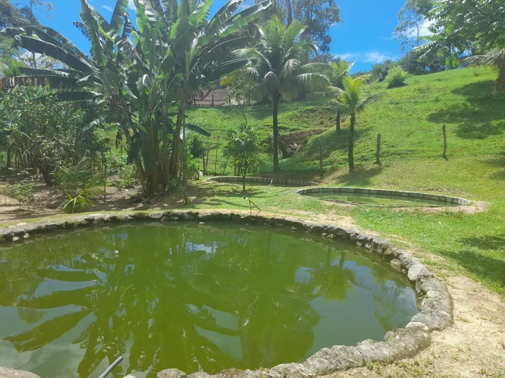 Fazenda à venda com 3 quartos - Foto 18