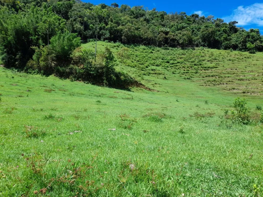 Fazenda à venda com 3 quartos - Foto 4