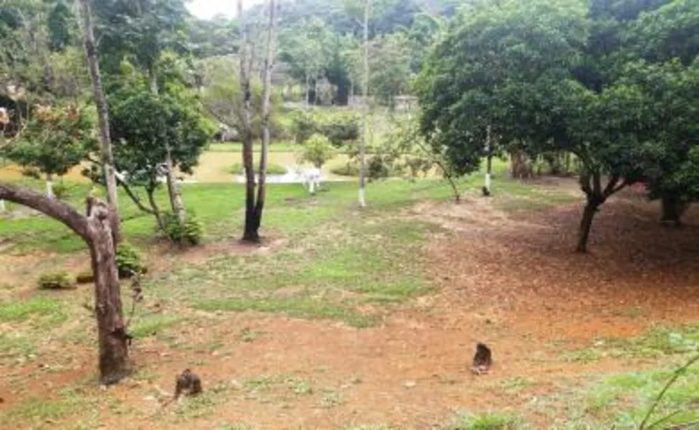 Sítio, 4 quartos, 2 hectares - Foto 10