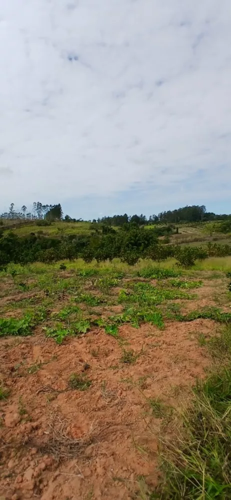 Sítio, 3 quartos, 7 hectares - Foto 10