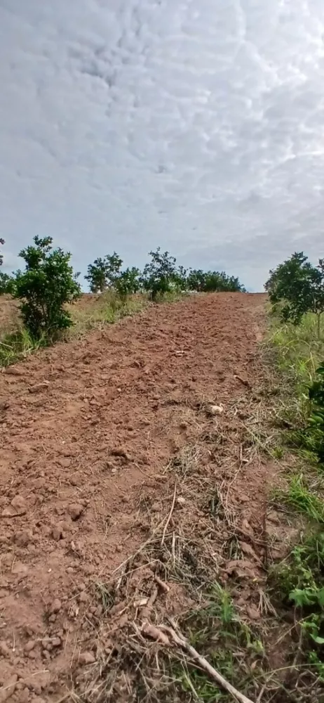 Sítio, 3 quartos, 7 hectares - Foto 9