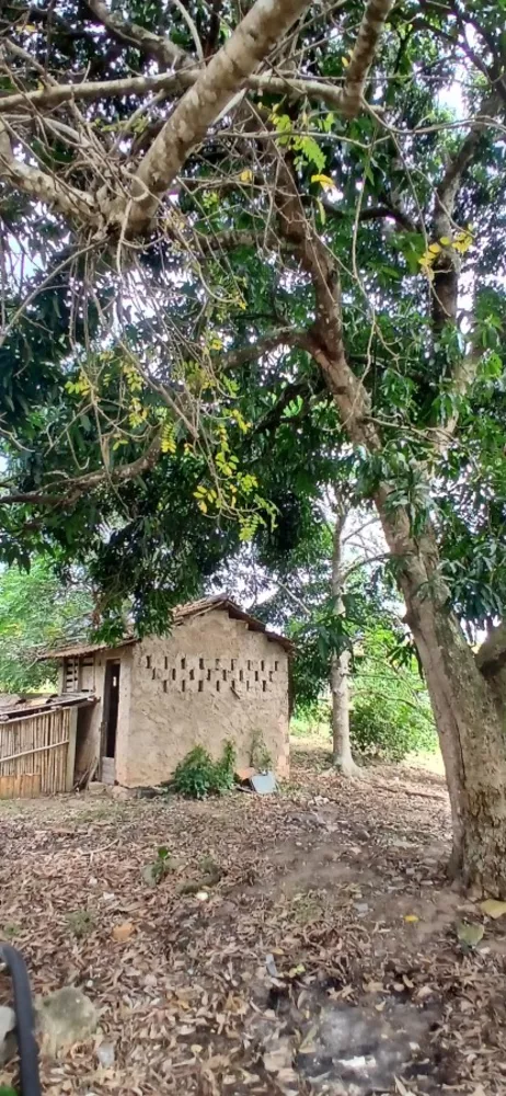 Sítio, 3 quartos, 7 hectares - Foto 31