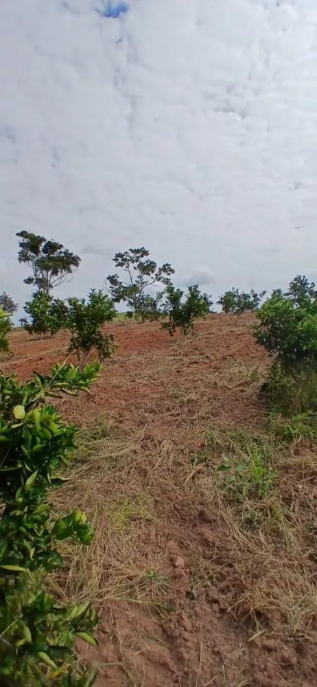 Sítio, 3 quartos, 7 hectares - Foto 8