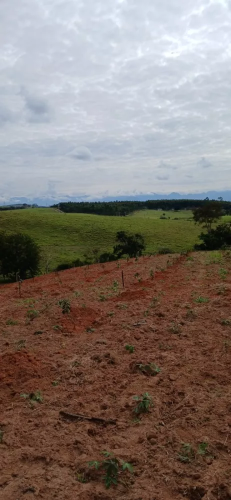 Sítio, 3 quartos, 7 hectares - Foto 15