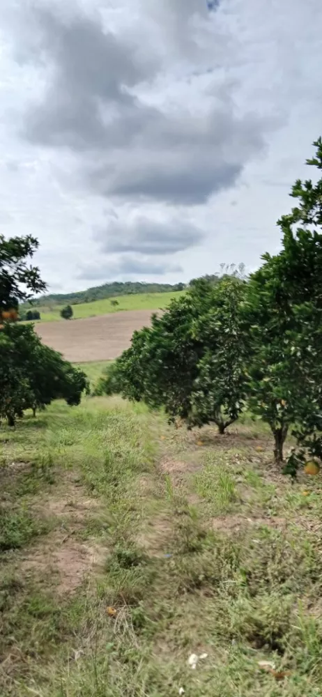 Sítio, 3 quartos, 7 hectares - Foto 26