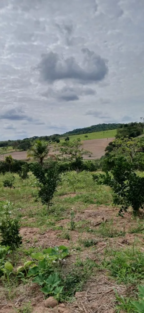 Sítio, 3 quartos, 7 hectares - Foto 18