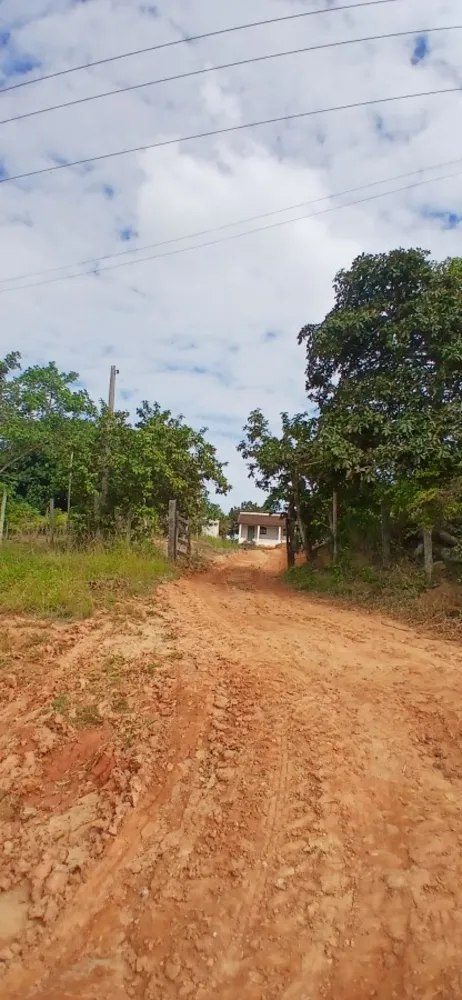 Sítio, 3 quartos, 7 hectares - Foto 38