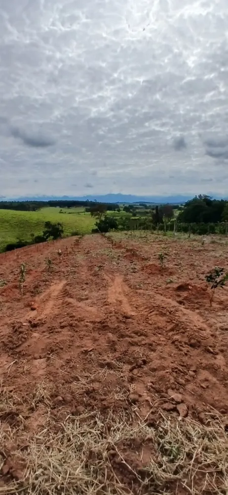 Sítio, 3 quartos, 7 hectares - Foto 14