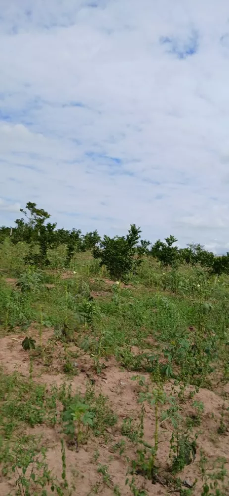 Sítio, 3 quartos, 7 hectares - Foto 23