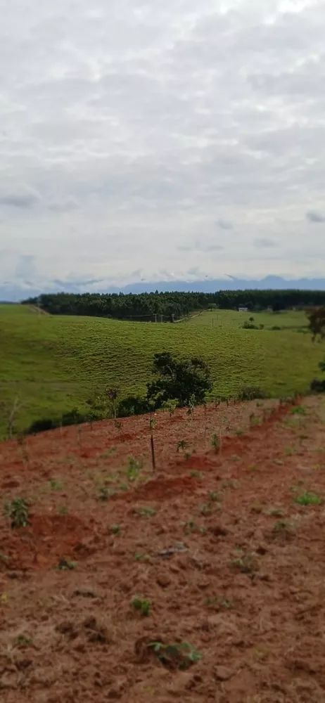 Sítio, 3 quartos, 7 hectares - Foto 16