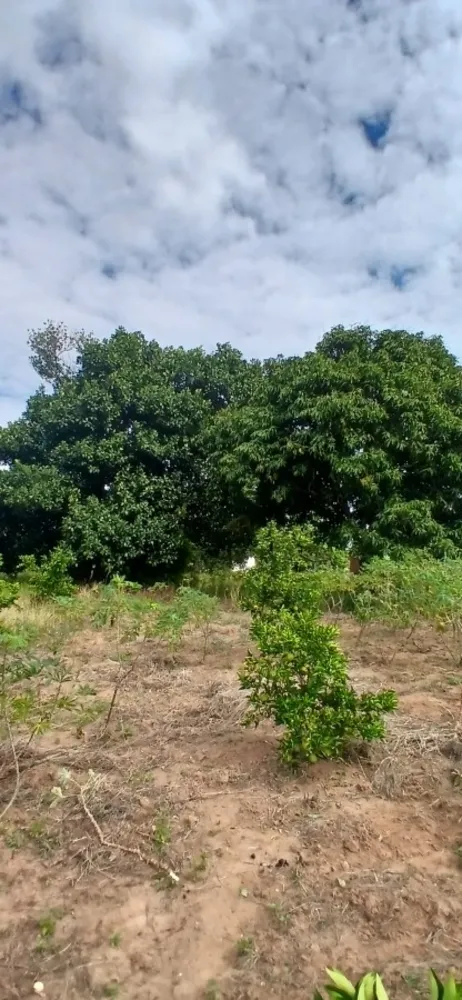 Sítio, 3 quartos, 7 hectares - Foto 34