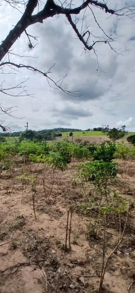 Sítio, 3 quartos, 7 hectares - Foto 28