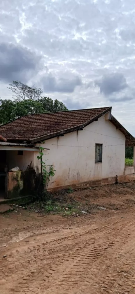 Sítio, 3 quartos, 7 hectares - Foto 12