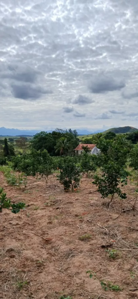 Sítio, 3 quartos, 7 hectares - Foto 17