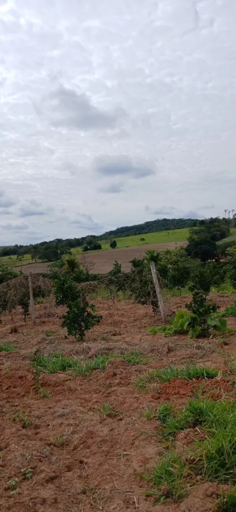 Sítio, 3 quartos, 7 hectares - Foto 14